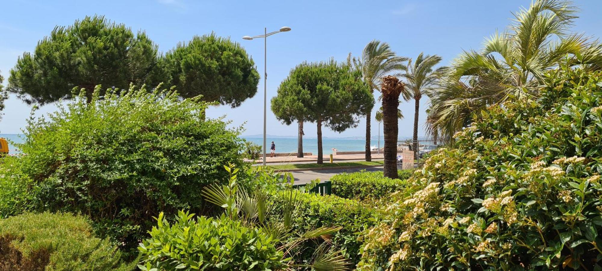 Studio De La Plage - Mer, Terrasse Et Garage Cagnes-sur-Mer Exteriör bild